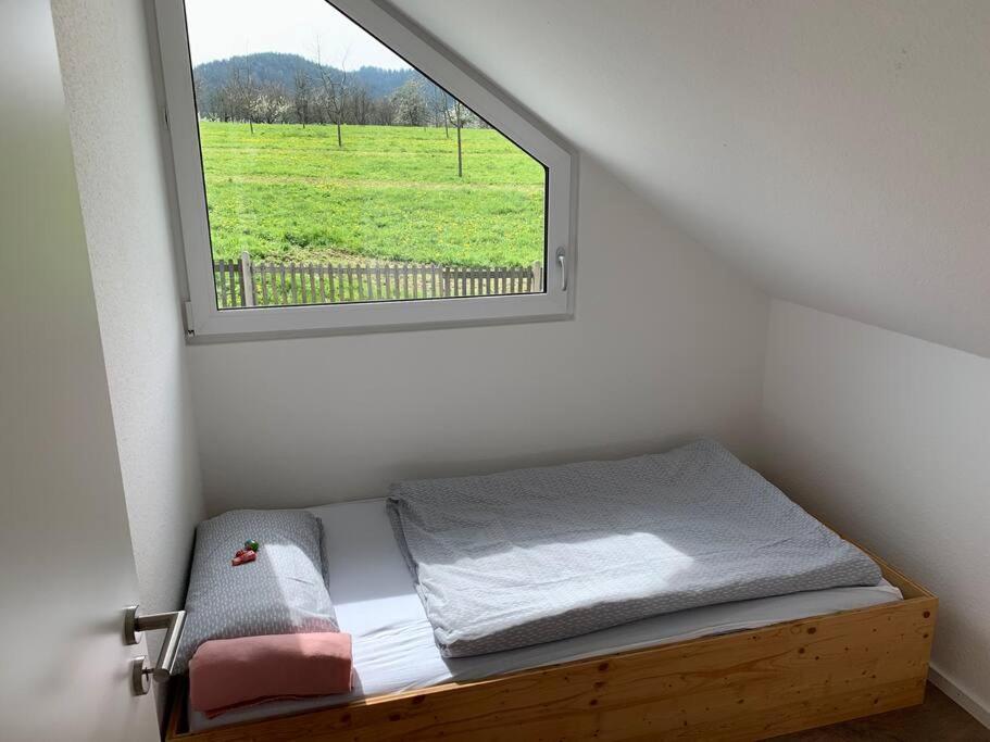 Wohnung Am Fusse Des Schwarzwalds Oberkirch  Exteriér fotografie