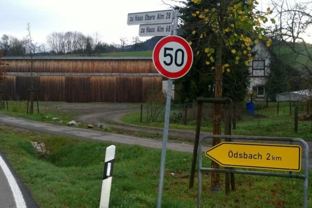 Wohnung Am Fusse Des Schwarzwalds Oberkirch  Exteriér fotografie