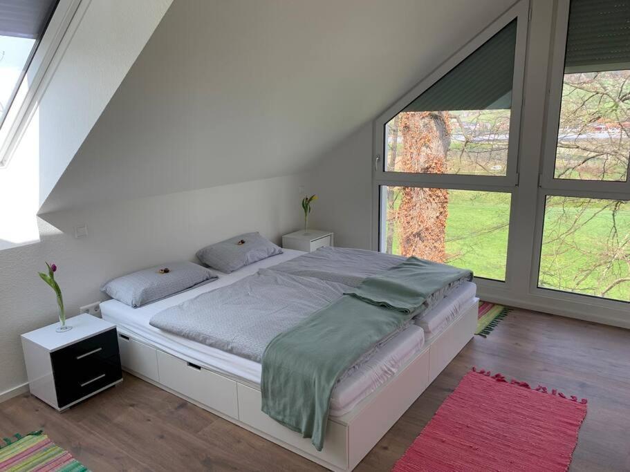 Wohnung Am Fusse Des Schwarzwalds Oberkirch  Exteriér fotografie