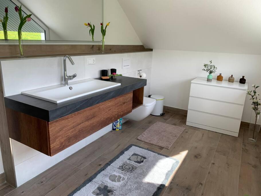 Wohnung Am Fusse Des Schwarzwalds Oberkirch  Exteriér fotografie