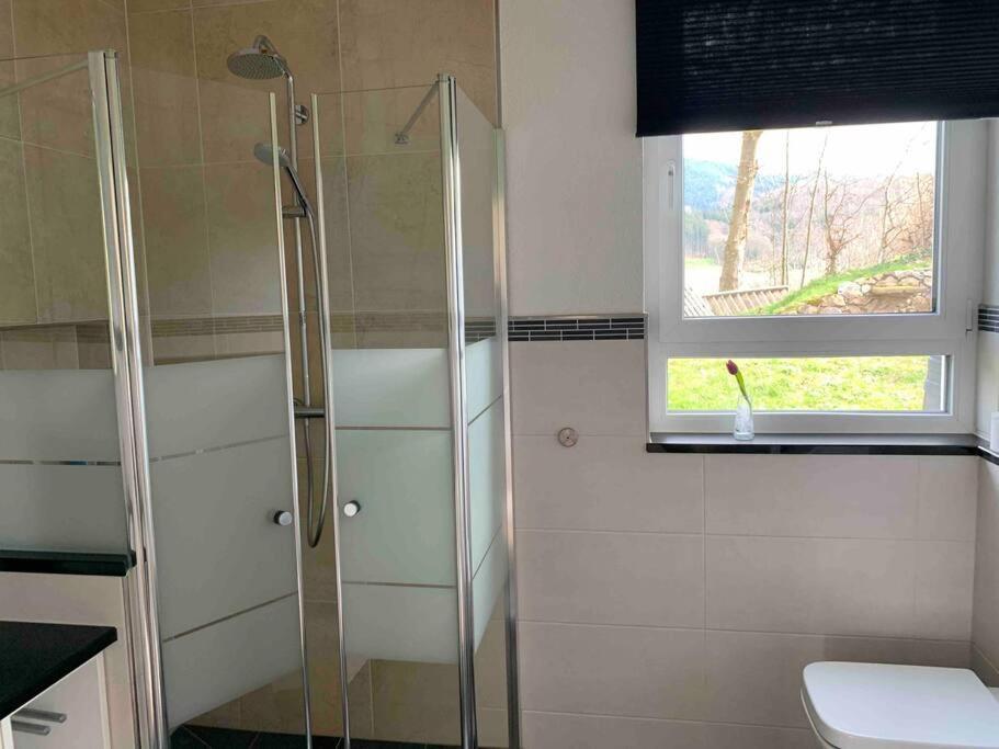 Wohnung Am Fusse Des Schwarzwalds Oberkirch  Exteriér fotografie