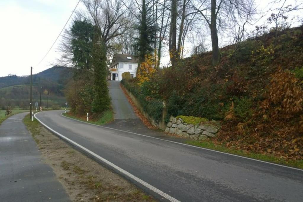 Wohnung Am Fusse Des Schwarzwalds Oberkirch  Exteriér fotografie